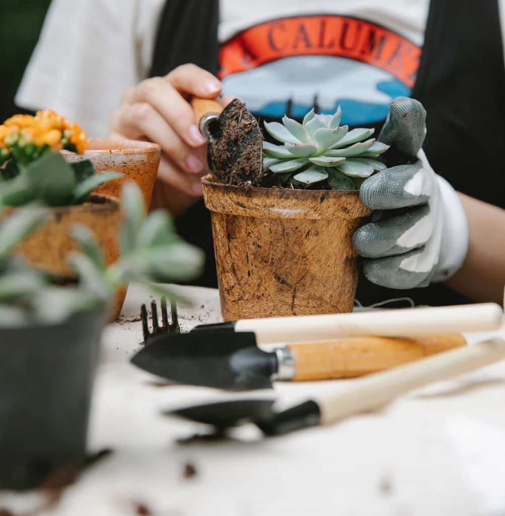 Lawn and Garden Supplies Delivery Service for Plants, Mulch and More